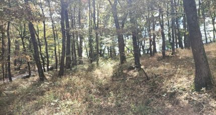 Buzet-sur-Tarn Terrain à bâtir - 1670491-4324annonce220230830piK00.jpeg Oc Résidences