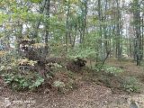 Terrain à bâtir à Buzet-sur-Tarn (31660) 1670491-4324annonce420230830UHTU8.jpeg Oc Résidences
