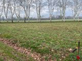 Maison à construire à Soual (81580) 1762869-5649annonce120240111hPXUx.jpeg Oc Résidences