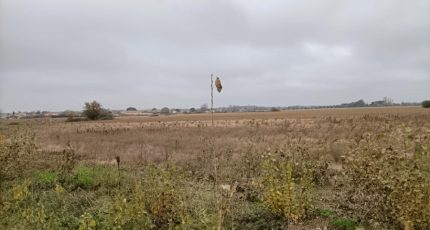 Lamasquère Maison neuve - 1747857-4324annonce120231214e7fNf.jpeg Oc Résidences