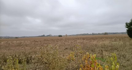 Lamasquère Maison neuve - 1747867-4324annonce120231214ESGA9.jpeg Oc Résidences