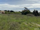 Terrain à bâtir à Vendres (34350) 1767040-10071annonce120240117bBMZB.jpeg Oc Résidences