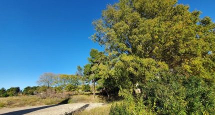 Béziers Maison neuve - 1765205-10071annonce120240115vQvwo.jpeg Oc Résidences