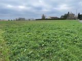 Maison à construire à Castres (81100) 1774244-5649annonce120230127mIuxS.jpeg Oc Résidences