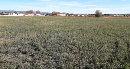 Rieux-Minervois Terrain à bâtir - 1779072-9431annonce320240131uQ9Rv.jpeg Oc Résidences