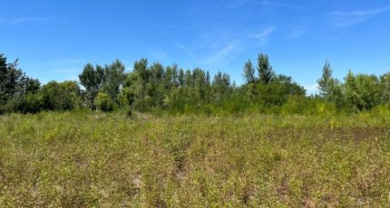 Castelnaudary Maison neuve - 1778211-10590annonce320240131ZuPIw.jpeg Oc Résidences