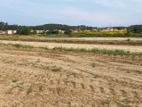 Terrain à bâtir à Lézignan-Corbières (11200) 1780423-9431annonce120240201tKv6h.jpeg Oc Résidences