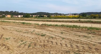 Lézignan-Corbières Terrain à bâtir - 1780423-9431annonce120240201tKv6h.jpeg Oc Résidences