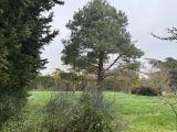 Terrain à bâtir à Villeneuve-la-Comptal (11400) 1784347-10590annonce320240207PHt2N.jpeg Oc Résidences