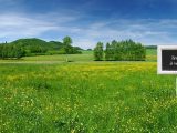 Maison à construire à Sorèze (81540) 1804036-3185annonce120240301FBoEn.jpeg Oc Résidences
