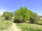 Terrain à bâtir à Perpignan (66000) 1802653-9431annonce120240301sBMke.jpeg Oc Résidences