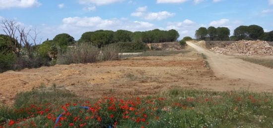 Terrain à bâtir à Marcorignan, Occitanie