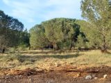 Terrain à bâtir à Marcorignan (11120) 1806848-9431annonce2202403072izNe.jpeg Oc Résidences