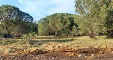 Marcorignan Terrain à bâtir - 1806848-9431annonce2202403072izNe.jpeg Oc Résidences