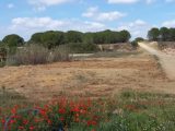 Terrain à bâtir à Marcorignan (11120) 1806883-9431annonce120240307koRuc.jpeg Oc Résidences