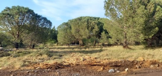 Terrain à bâtir à , Aude