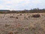 Terrain à bâtir à Ferrals-les-Corbières (11200) 1815991-9431annonce220240318aMcpx.jpeg Oc Résidences