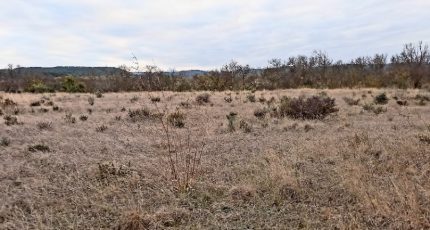 Ferrals-les-Corbières Terrain à bâtir - 1815991-9431annonce220240318aMcpx.jpeg Oc Résidences