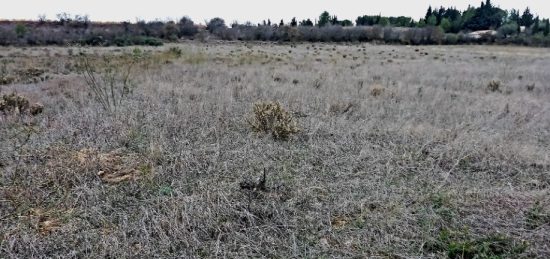 Terrain à bâtir à , Aude