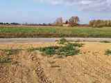 Terrain à bâtir à Canet (11200) 1817772-9431annonce120240319kEnn9.jpeg Oc Résidences