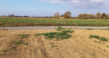 Canet Terrain à bâtir - 1817772-9431annonce120240319kEnn9.jpeg Oc Résidences