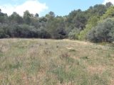 Terrain à bâtir à Bize-Minervois (11120) 1818166-9431annonce220240320ZcOqO.jpeg Oc Résidences
