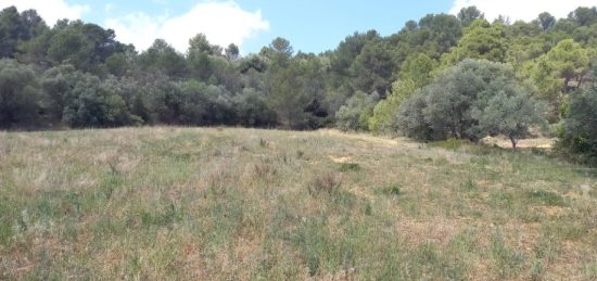 Terrain à bâtir à , Aude
