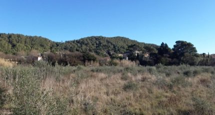 Portel-des-Corbières Terrain à bâtir - 1818571-9431annonce120240320FUqIO.jpeg Oc Résidences