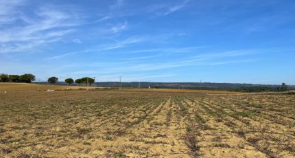 Saint-Papoul Maison neuve - 1822439-10590annonce520240326FkfZd.jpeg Oc Résidences