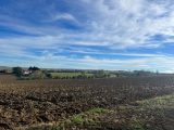 Terrain à bâtir à Villefranche-de-Lauragais (31290) 1828100-10590annonce420240403l4RdF.jpeg Oc Résidences