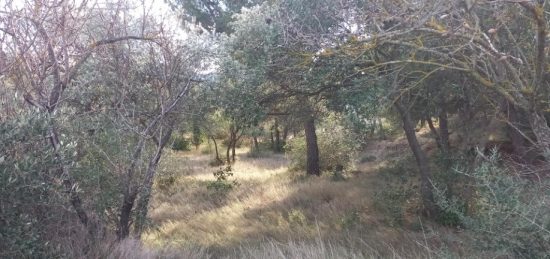 Terrain à bâtir à , Aude