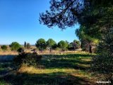 Maison à construire à Alignan-du-Vent (34290) 1866210-10071annonce120240528RTuzS.jpeg Oc Résidences