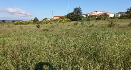 Bize-Minervois Maison neuve - 1838908-9431annonce320240418Rt9VS.jpeg Oc Résidences