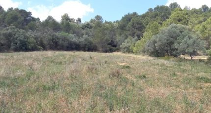 Bize-Minervois Maison neuve - 1818185-9431annonce220240320ZcOqO.jpeg Oc Résidences