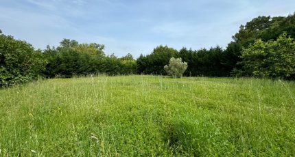 Saint-Papoul Maison neuve - 1876929-10590annonce320240610ayFwf.jpeg Oc Résidences