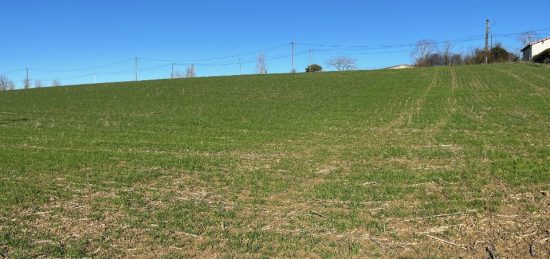 Terrain à bâtir à Cologne, Occitanie