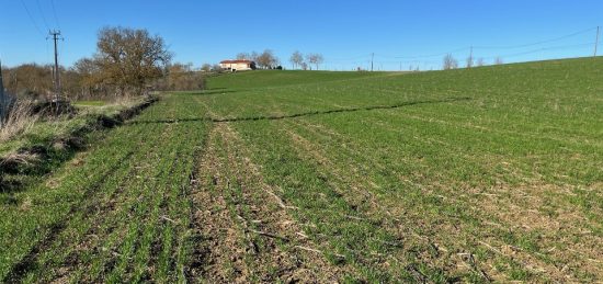 Terrain à bâtir à Cologne, Occitanie