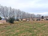 Terrain à bâtir à Sainte-Valière (11120) 1890561-9431annonce120240626mcf3r.jpeg Oc Résidences