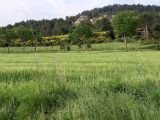 Terrain à bâtir à Thézan-des-Corbières (11200) 1901361-9431annonce2202407108R4I0.jpeg Oc Résidences