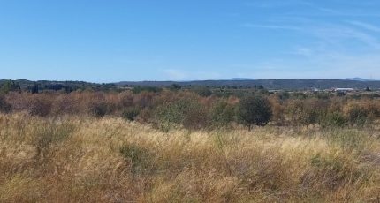 Ferrals-les-Corbières Terrain à bâtir - 1908848-9431annonce12024071828krN.jpeg Oc Résidences