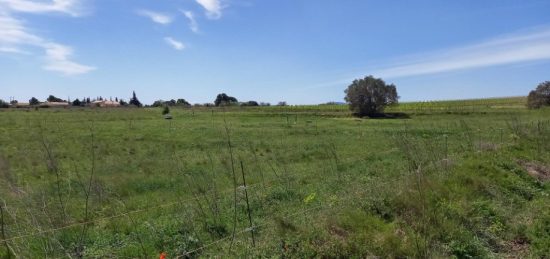 Terrain à bâtir à Paraza, Occitanie