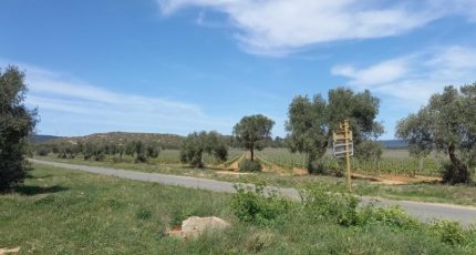 Paraza Terrain à bâtir - 1924511-9431annonce320240813UrZwO.jpeg Oc Résidences
