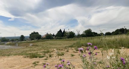 Corneilhan Maison neuve - 1952541-10071annonce120240919QrndJ.jpeg Oc Résidences