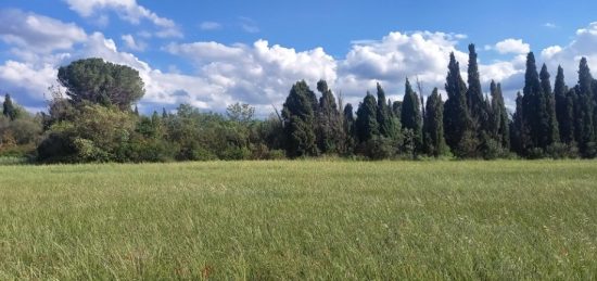 Terrain à bâtir à Cruscades, Occitanie