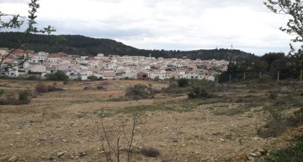 Narbonne Terrain à bâtir - 1968455-10071annonce120241004yZisd.jpeg Oc Résidences