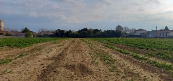 Terrain à bâtir à , Aude