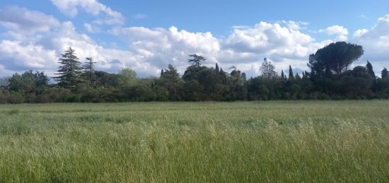 Terrain à bâtir à Canet, Occitanie