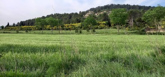 Terrain à bâtir à Thézan-des-Corbières, Occitanie
