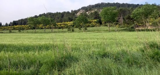 Terrain à bâtir à , Aude