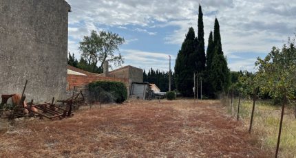 Pexiora Terrain à bâtir - 2064795-10590annonce120240813z19TE.jpeg Oc Résidences